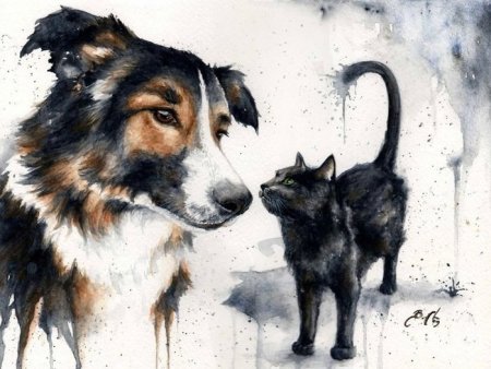 Кошки в искусстве. Braden Duncan.