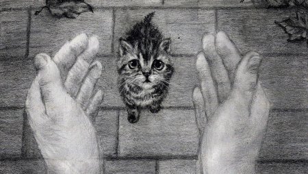 Рисунок на тему бездомные животные