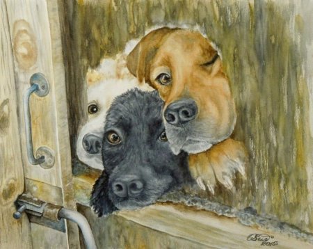 Бездомная собака живопись