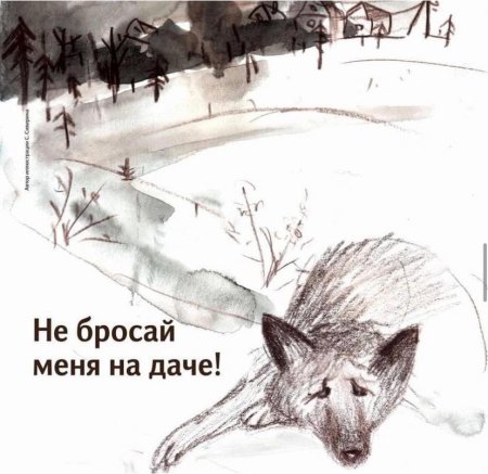 Иллюстрации бездомных животных