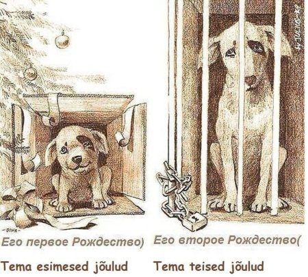 Бездомные животные рисунок