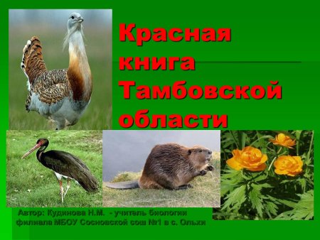 Заповедник иллюстрация