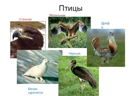 Природа родного края рисунки