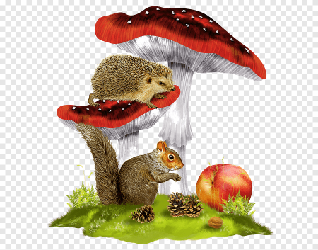 Зверюшки для детей гриб