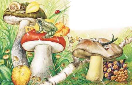 Сладков Лесные силачи