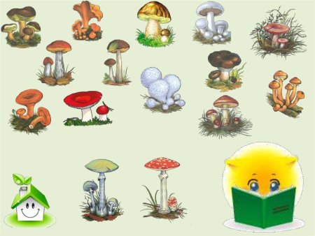 Ежик живопись