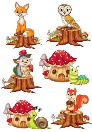 Царство животных царство растений царство грибов царство бактерий