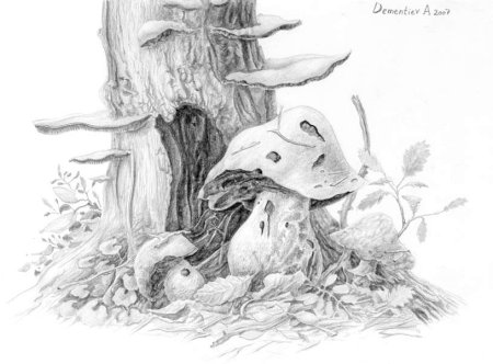 Гуашь еж и гриб