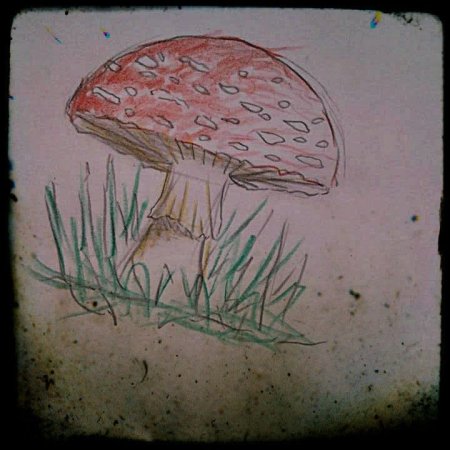 Дидактическая игра съедобные и несъедобные грибы