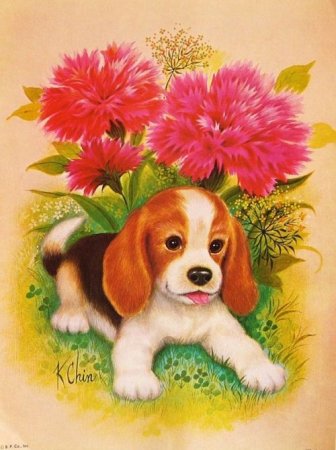 Открытки с животными и цветами