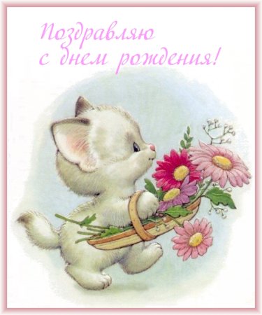 Милые открытки с цветами