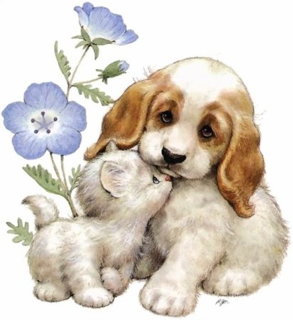 Открытки животные