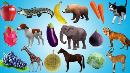 Изображение животных фруктов