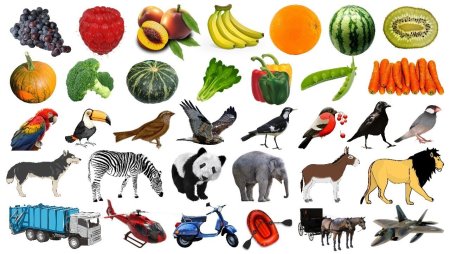 Овощи для животных