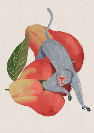 Фруктовые животные арты