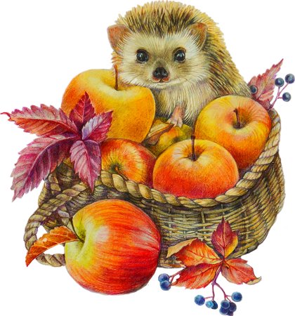 Ежик с лукошком