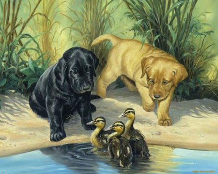 Линда Пикен картины