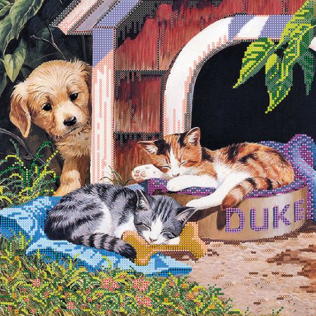 Shirley Deaville котики