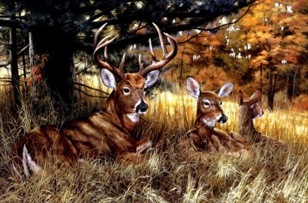 Карл Брендерс картины косуля