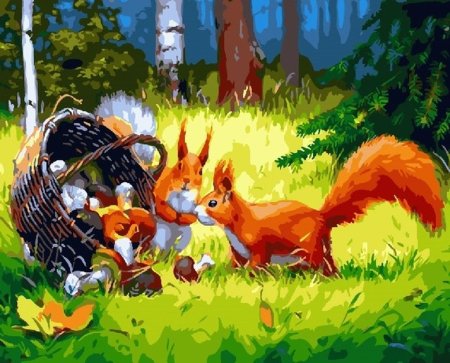 Картина по номерам белки Харченко Иван