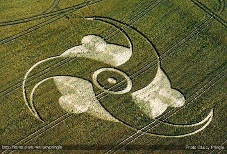 Инопланетянин в поле