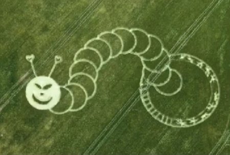 Колин Эндрюс круги на полях