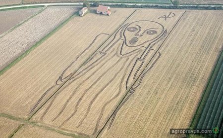 Знаки пришельцев на полях