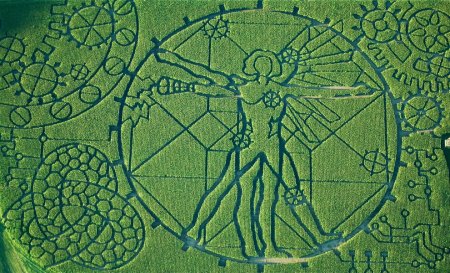 Круги на полях 1980