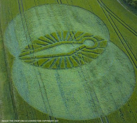 Круги на полях 2020 коронавирус