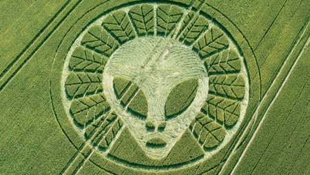 Круги на полях 2021