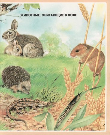 Знаки на полях Краснодарский край