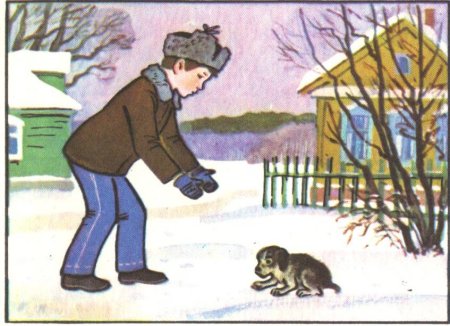 Картина как Сережа нашел щенка