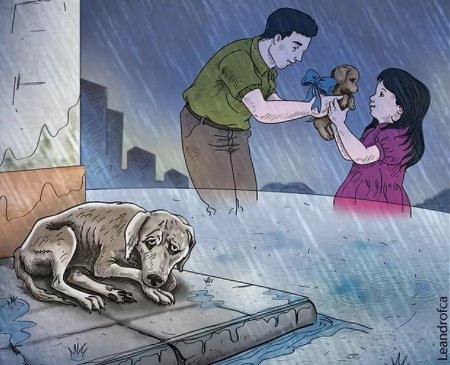 Не бросайте животных