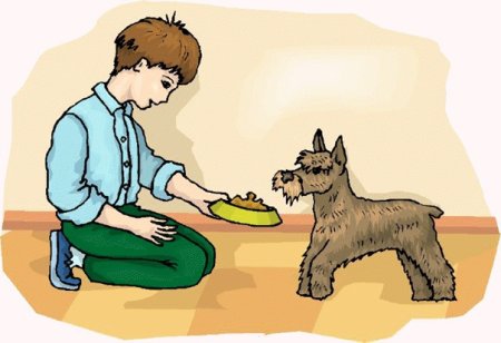 Мальчик кормит собаку