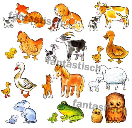 Домашние животные с детенышами мультяшные