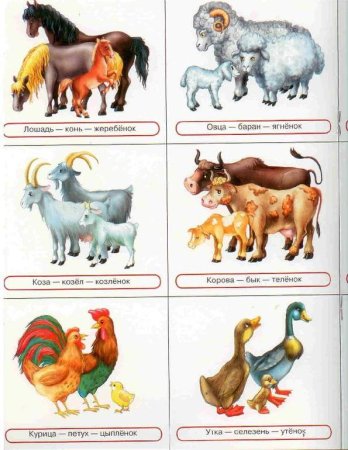 Семья животных для детей