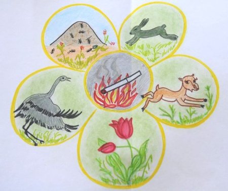 Биологическое разнообразие