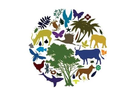 Рисунок на тему день защиты животных