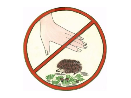 Плакат береги животных