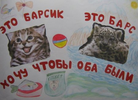 Экологический плакат