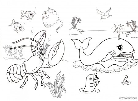 Морские обитатели чб