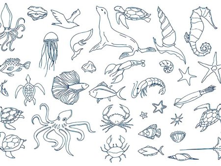 Раскраска "морские жители"