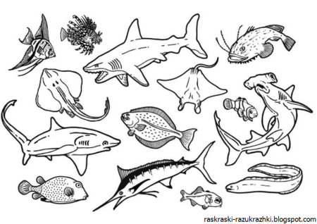 Обитатели морского дна для детей
