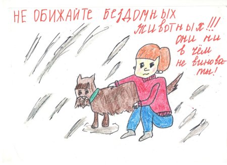Оренбург Линда группа помощи бездомным животным