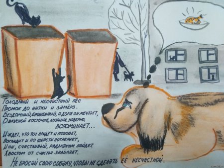 Плакаты в защиту бездомных животных