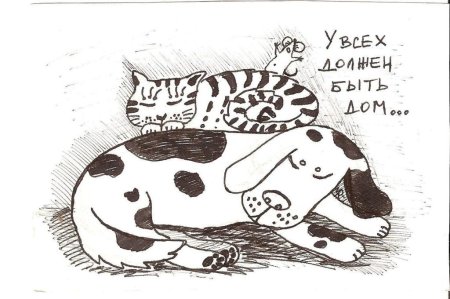Рисунки для срисовки