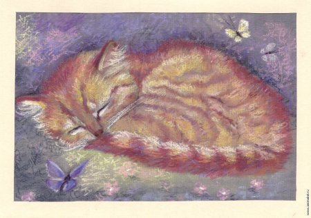 Кот масляной пастелью