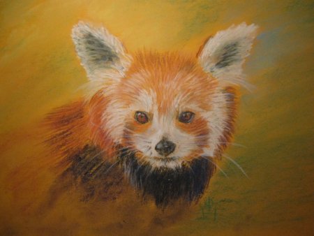 Животные сухой пастелью