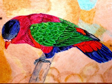 Рисуем пастелью масляной фазана