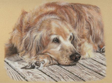 Собака пастелью